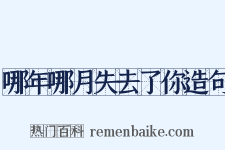 哪年哪月失去了你造句是什么意思的图片